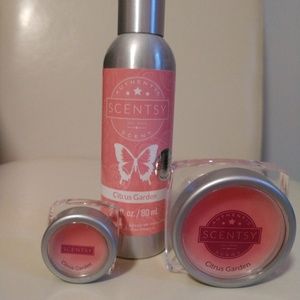 Scentsy room spray and sample wax melts.